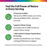 Product highlights graphic stating Precursor to NAD+ (500 NMN), Supports Cellular Energy with NMN, 1,000mg Multi-Collagen Blend.