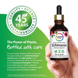 Rainbow Light Super Concentrated Echinacea Liquid Extract, 2 fl oz, Non-GMO, Vegan, and Gluten-Free product.