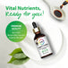 Lugol's Iodine 2% Solution, 2 fl. oz. (59 mL) dropper bottle containing iodine and potassium iodide.