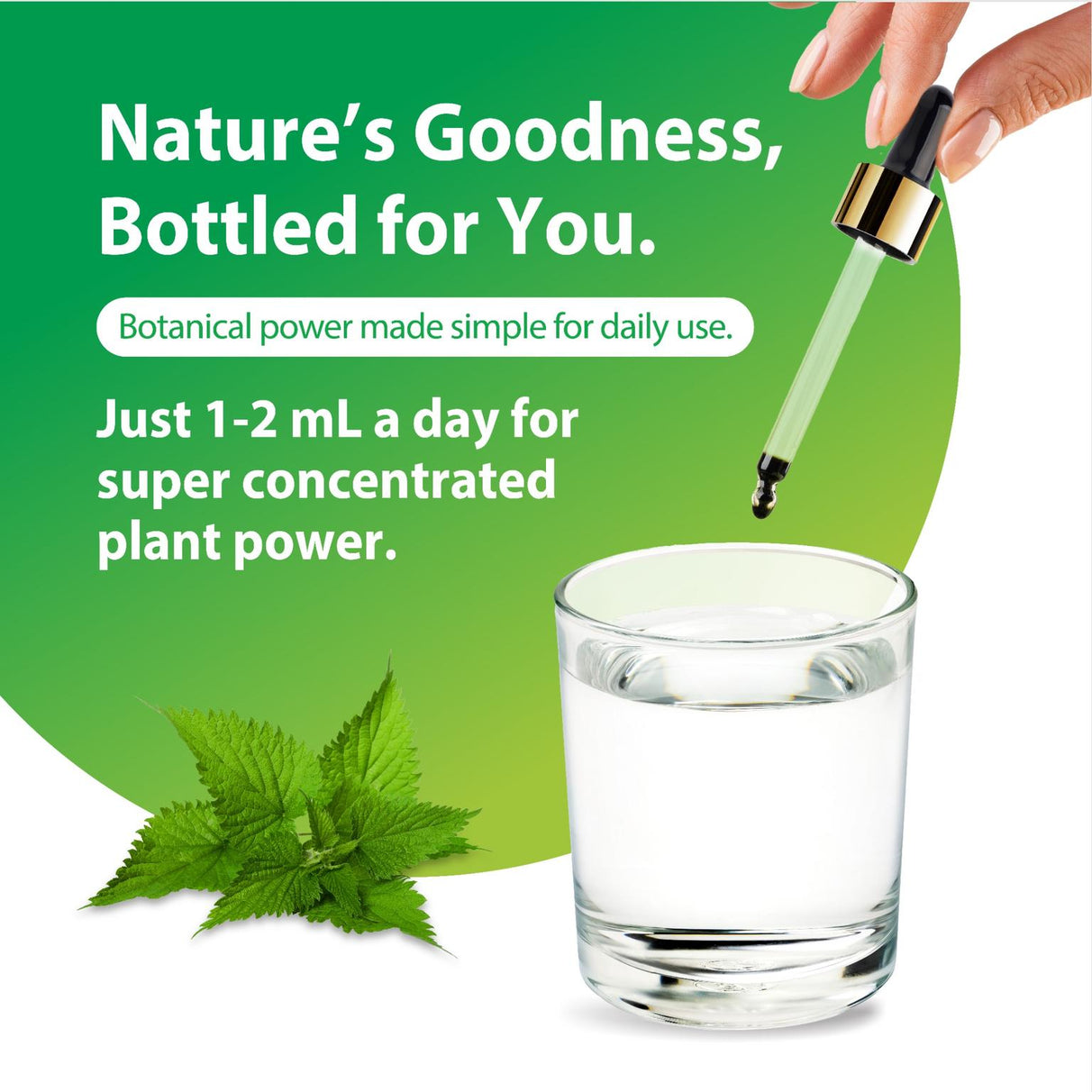 Nettle Leaf Liquid Extract dropper into water with nettle leaves. Text: 'Botanical power made simple. Just 1-2 mL a day.'